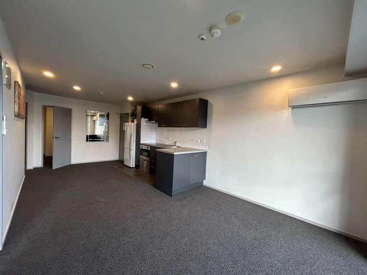 2C/1 Ophir Street Grey Lynn_2