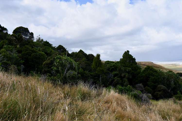 904 Karamea Kohaihai Road Karamea_42