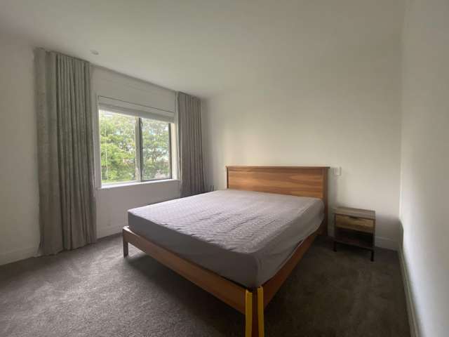 1E/18 Joseph Banks Terrace Remuera_2