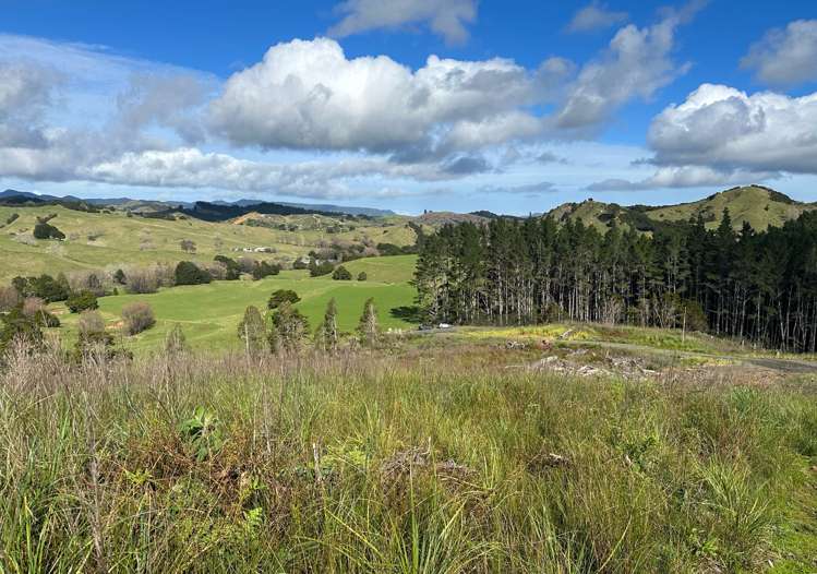 Waiotehue Road Herekino_0