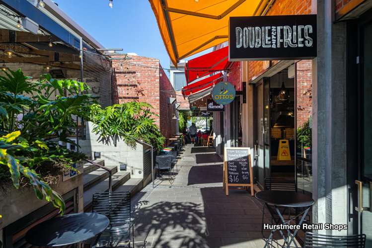 17 Napier Avenue Takapuna_32