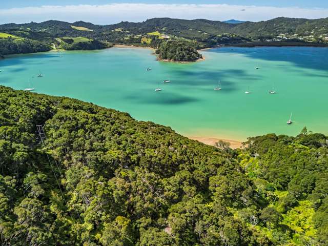 Kanuka Grove Russell_1