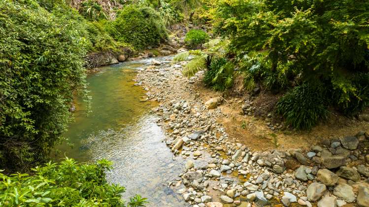 114 Victoria Street Thames_25