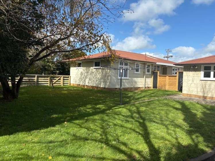 43 Hammond Street Bulls_13