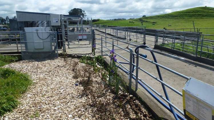 224 Croydon Road Midhirst_8