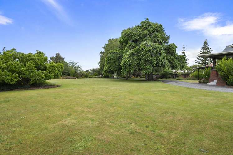 19 Johnson Street Bulls_28