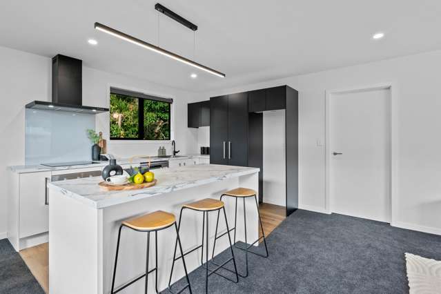 83 Venus Street Georgetown_4