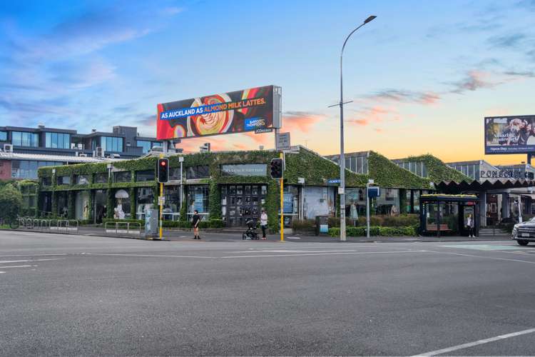 15b Rose Road Grey Lynn_20