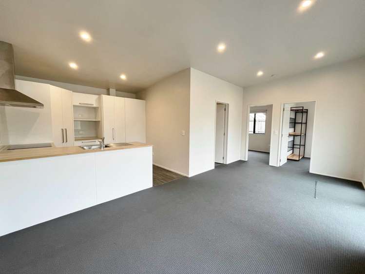 17a McLellan Pl Ilam_3