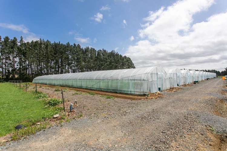 7 Ridge Road Tuakau_26