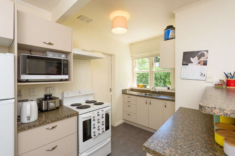 16 Wilberforce Street Miramar_13