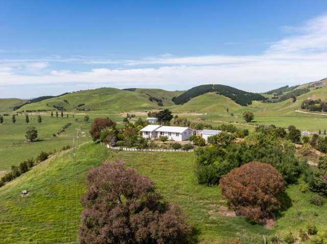 246 Seafield Road Eskdale_1