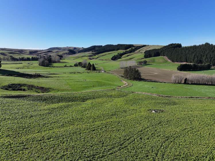 114 Bull Creek Road Glenledi_1