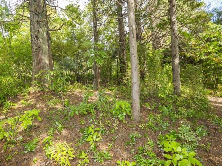 1 Freemans Way Pinehaven_6