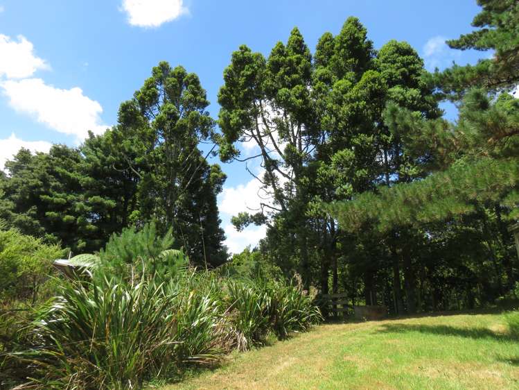 255 Awhitu Central Road Awhitu_7