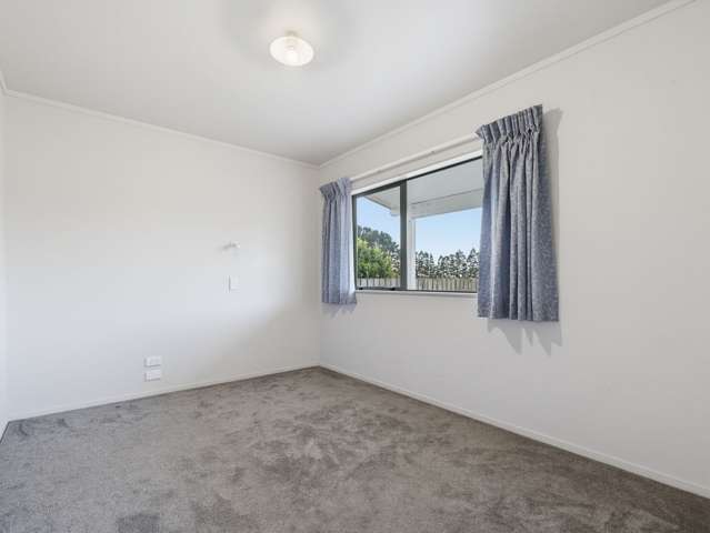 142a College Road Edgecumbe_4