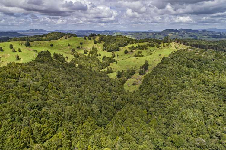 313 Paiaka Road Towai_4