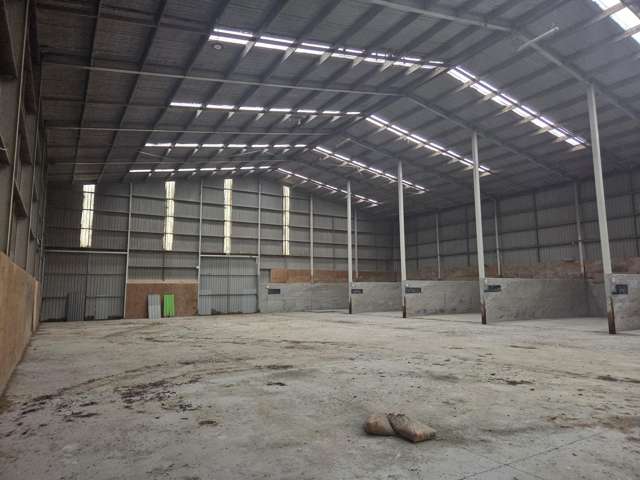 21 Irish Road Mangatawhiri_3