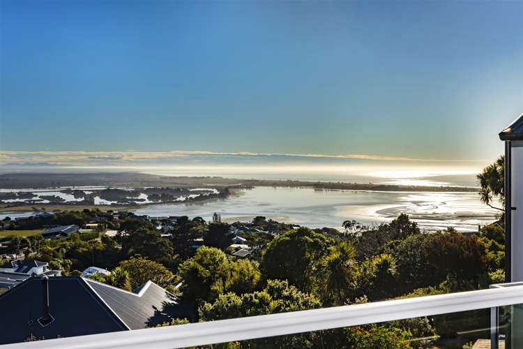 135 Major Hornbrook Road Mount Pleasant_25