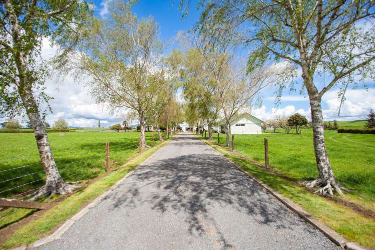 667 Hutchinson Road Morrinsville_22