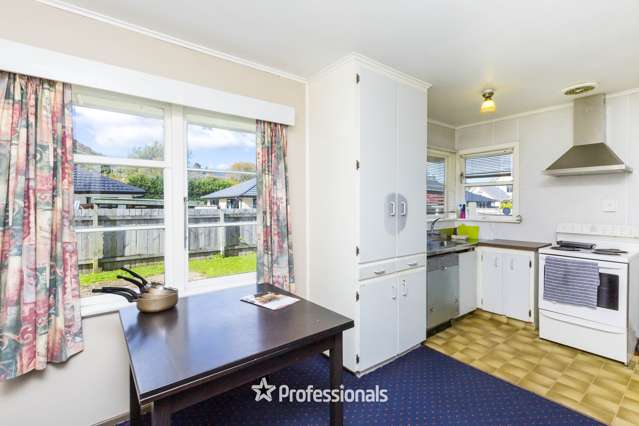 35 Black Beech Street Birchville_3