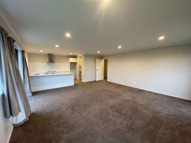 45 Whittington Dr Rolleston_4