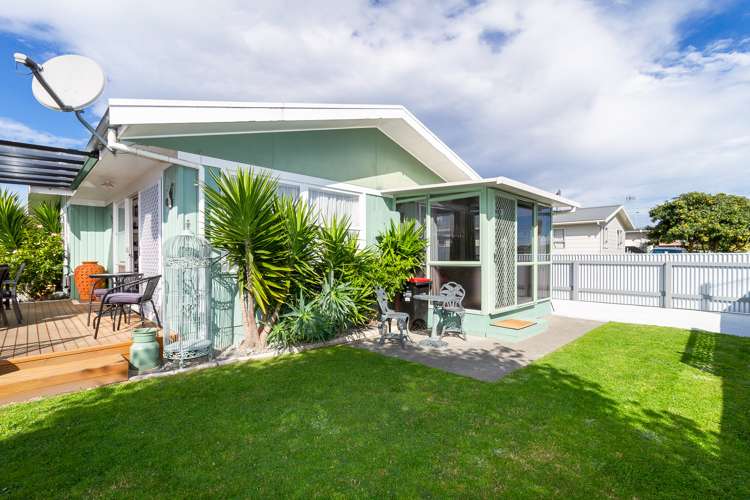 47 Bristol Street Tamatea_12