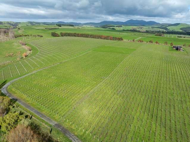 Lot 3 Willow Lane Martinborough_4