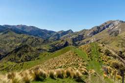 Large-scale high country station in Marlborough