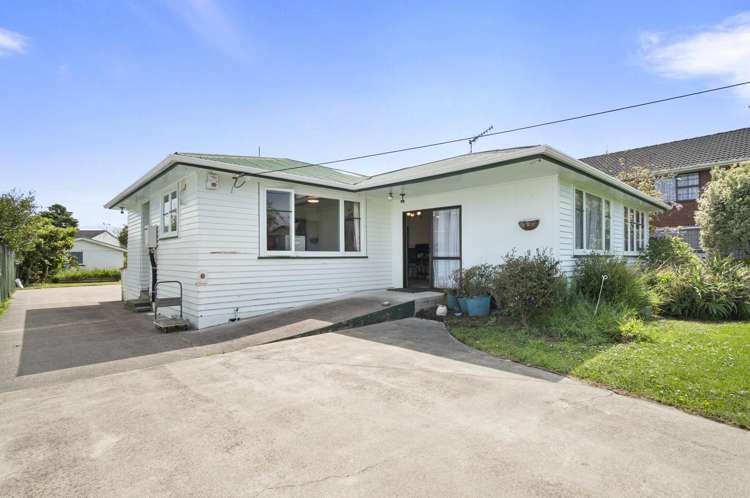 5 Hammond Street Bulls_13