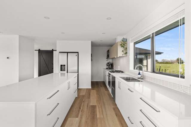 39 George Street Bulls_4