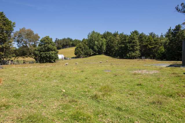 909A Wharekopae Road Ngatapa_4