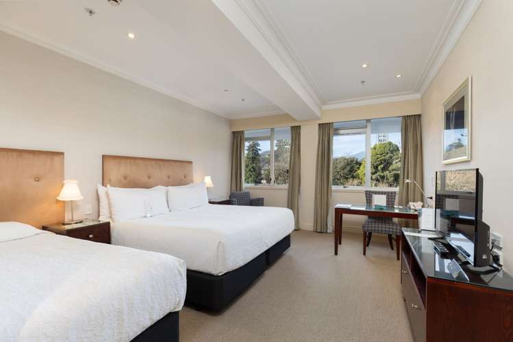 27 Nile Street Nelson_17