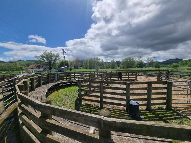 126 Tauraroa Valley Road Otorohanga_20