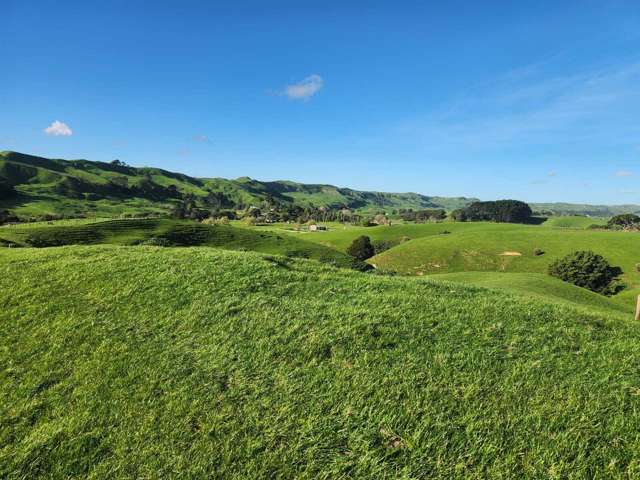 899 Te Akau Road Te Akau_3