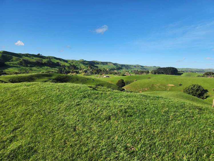 899 Te Akau Road Te Akau_3
