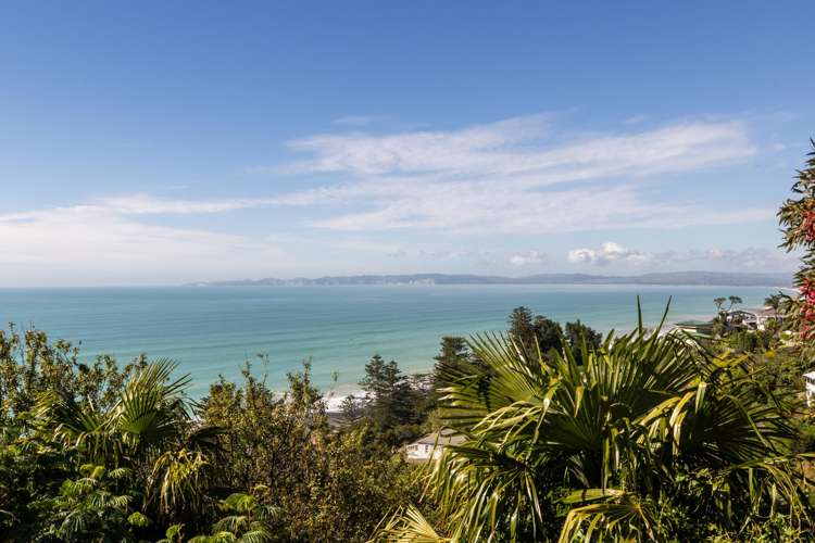 117 Priestley Terrace Bluff Hill_20