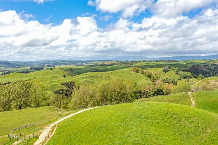 475 Pollock Road Pohangina_14