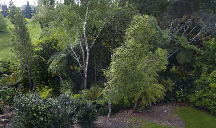 16 Frances Street Tirau_15