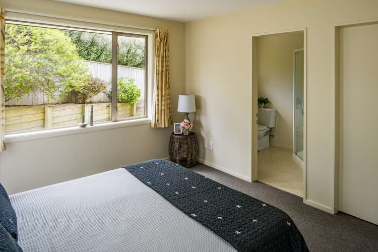 7 Catlins Glen Aotea_10