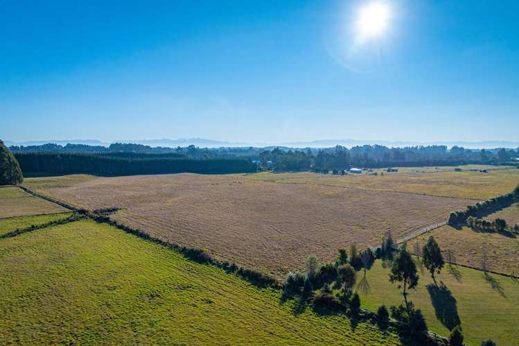 343 Halkett Road West Melton_8