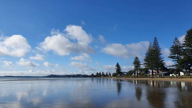 Laundromat For Sale Orewa_4