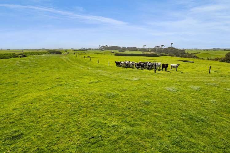 3789 South Road Opunake_20