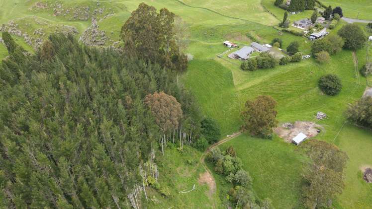 184 Central Road Hamurana_23