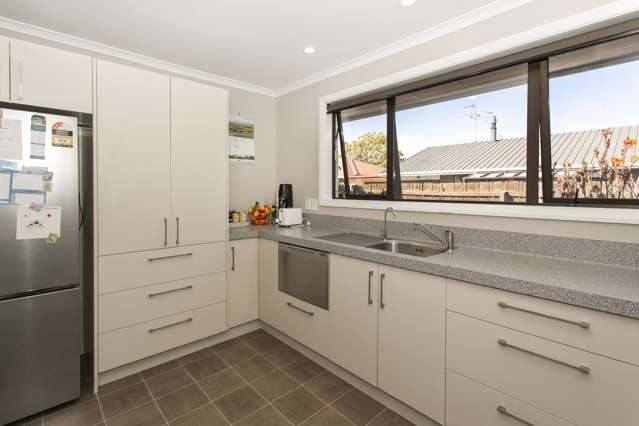 9A Nursery Drive Tinwald_2