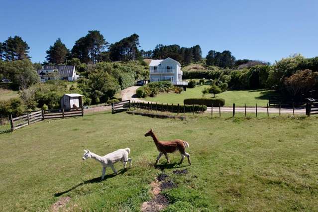 381 Horokiwi Rd Horokiwi_4