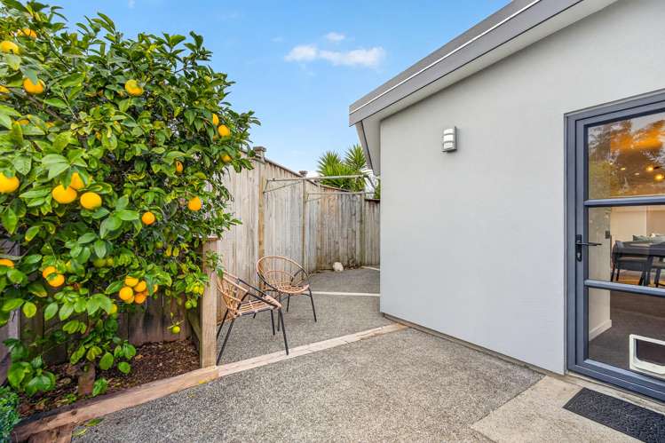 26A Cologne Street Martinborough_24