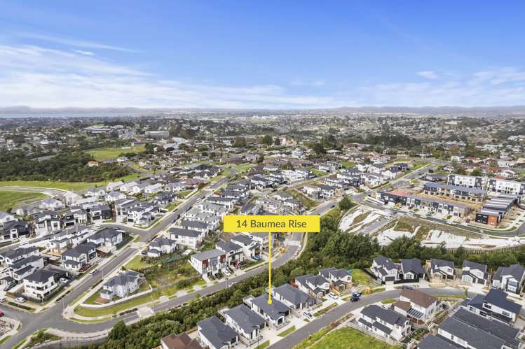 14 Baumea Rise Massey_39