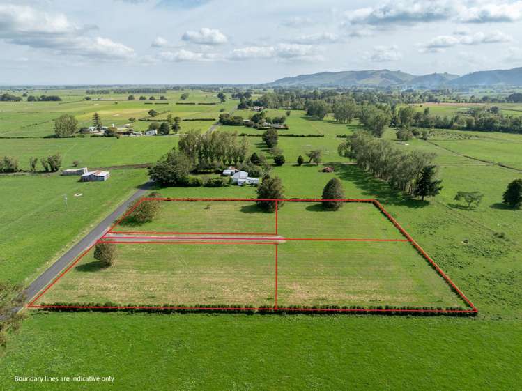 Strange Road Te Aroha_9