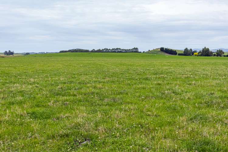 313 Springfield Road Totara_11